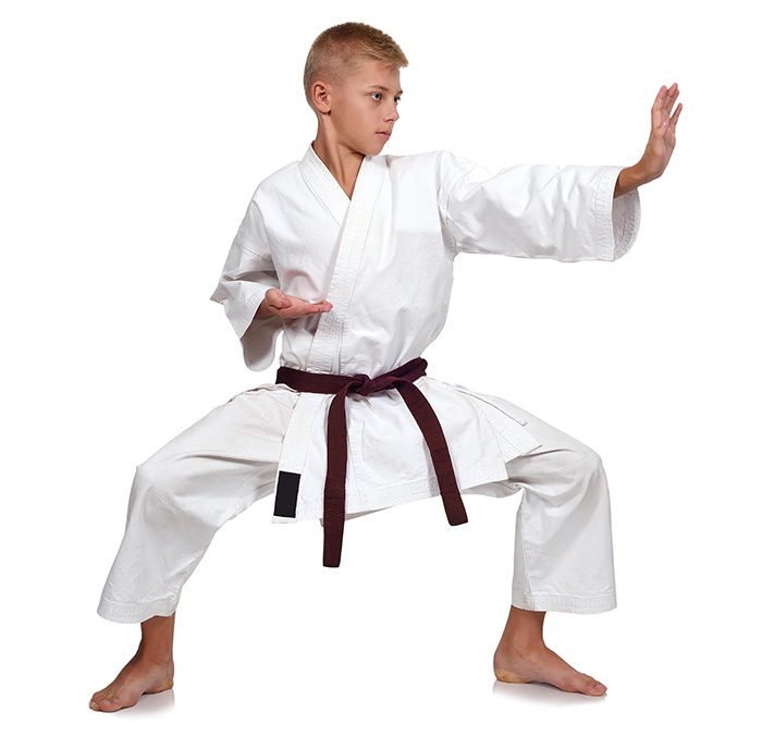 Kaishi Karate School