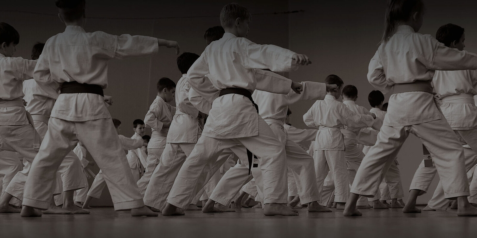 Kaishi Karate School